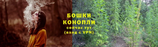 2c-b Богданович