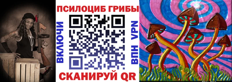 Псилоцибиновые грибы прущие грибы  Свободный 